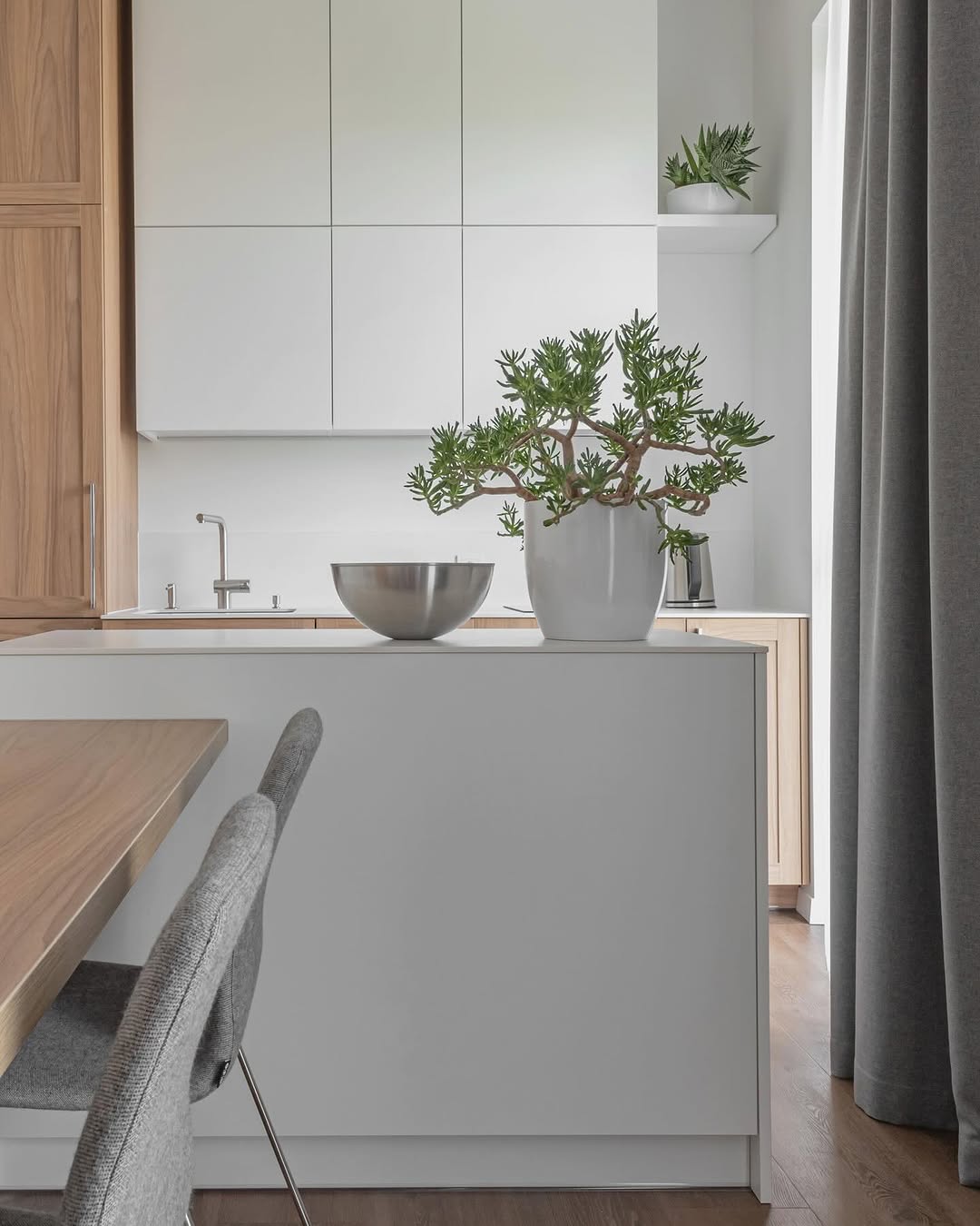 Spring in the interior! 🌿 
Indoor plants decor.
St. Stepon street, Vilnius 

Interjor by @idas.lt
Author Vaida Kandratavičiūtė @vaida_idas
.
.
.
.
#i