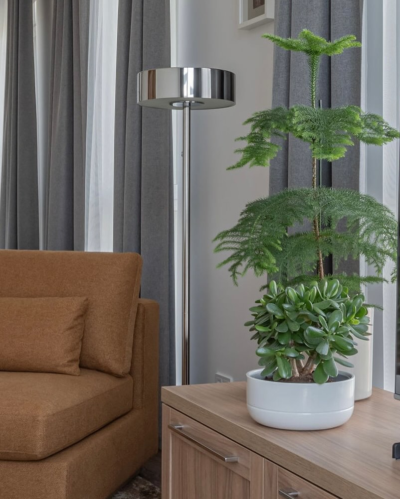 Spring inside 🌿 @vaida_idas